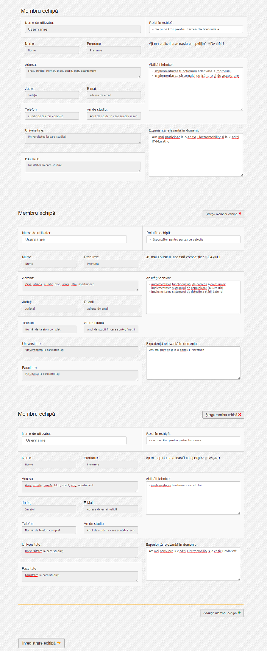 add_team_members_example